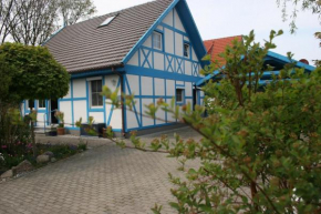 Birkmaase 3 Muschelblau OG, Zingst